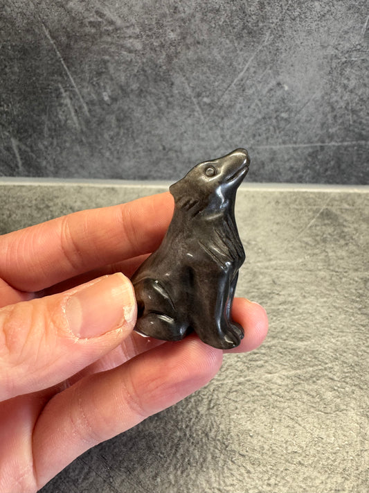 Hopea Obsidiaani susi