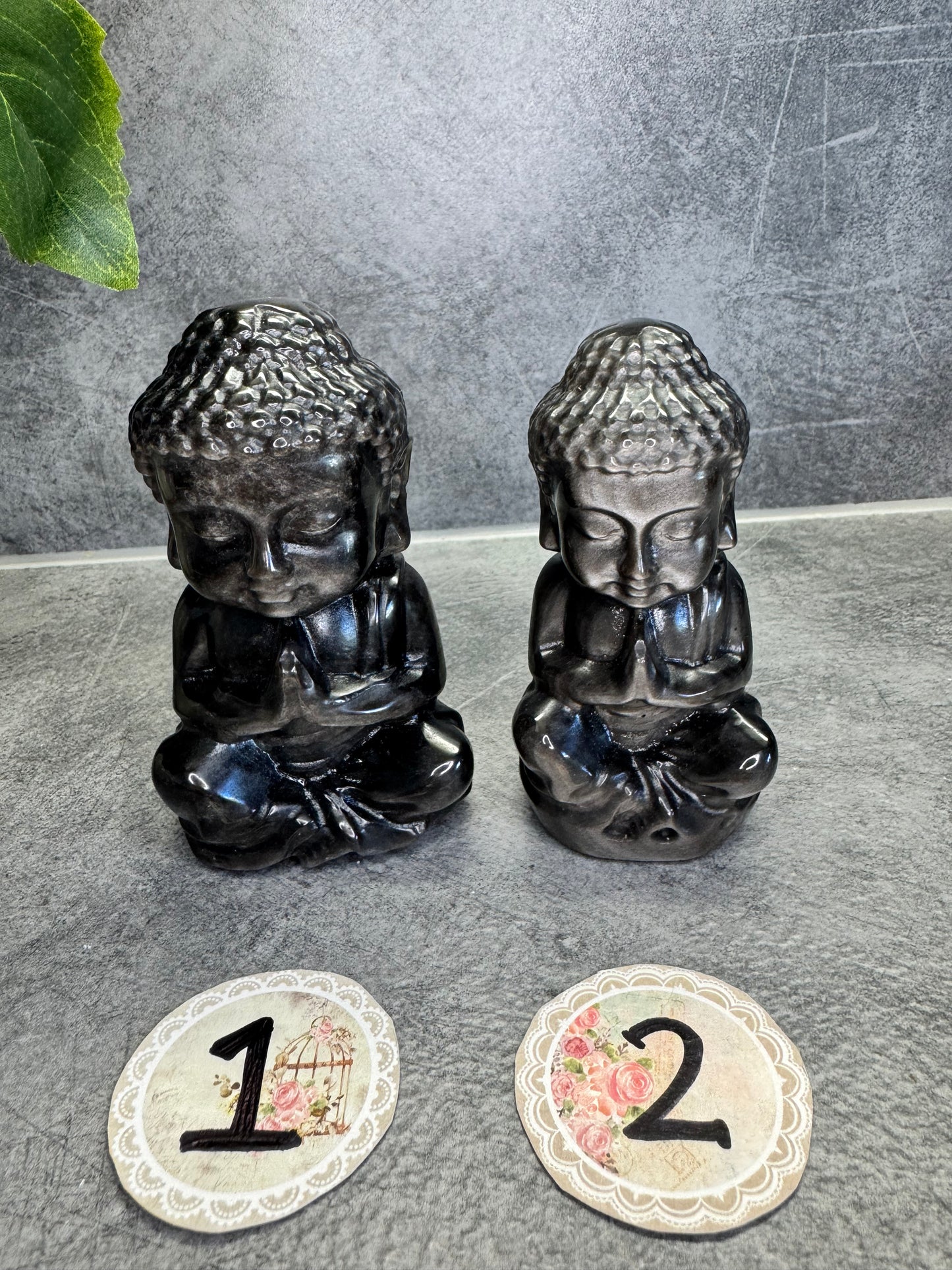 Hopea obsidiaani buddha